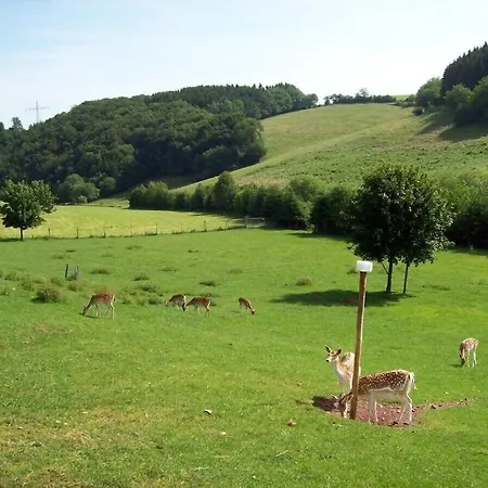 شقة Hof Goerrespesch-ferien Im Herzen Der Schneifel Schlausenbach