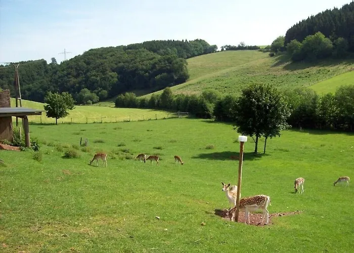 Apartment Hof Görrespesch-ferien Im Herzen Der Schneifel Schlausenbach