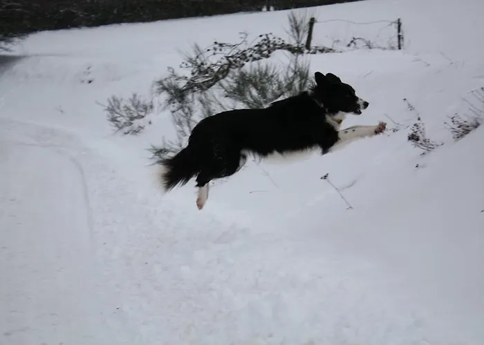 Apartment Hof Görrespesch-ferien Im Herzen Der Schneifel Schlausenbach