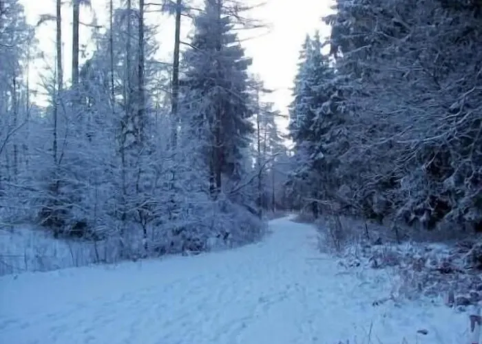 Apartment Hof Görrespesch-ferien Im Herzen Der Schneifel
